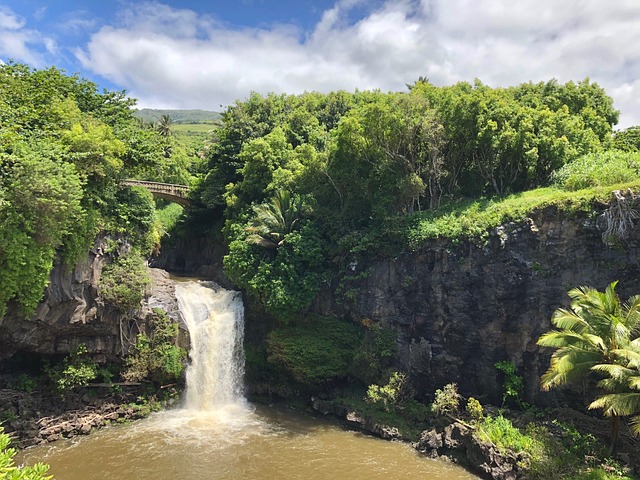 Should You Explore The Road To Hana On Maui?